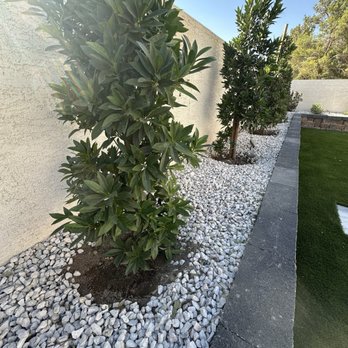 Pure Turf USA - Artificial Turf Near Me - Las Vegas, Nevada