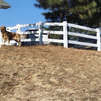First Rate Fence & Access Control - Chewy in his new back yard! - Fences & Gates Near Me - Denver, Colorado First Rate Fence & Access Control - Chewy in his new back yard! - Fences & Gates Near Me - Denver, Colorado