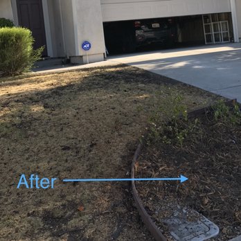 Fast Response Tree Service - Tree Services Near Me - Folsom, California