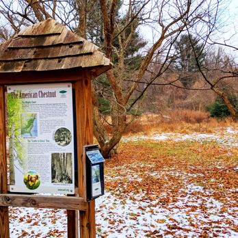 Welkinweir - Welkinweir Estate -- American Chestnut - Parks Near Me - Pottstown, Pennsylvania