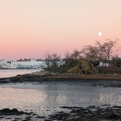 Four Tree Island