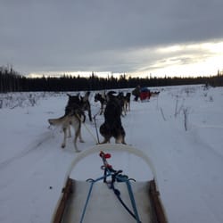 Jameson Kapec Sled Dog Adventures