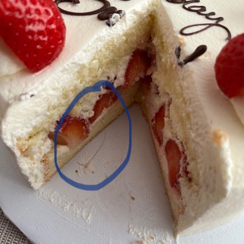 ANGEL MAID BAKERY - Updated April 2024 - 840 Photos & 897 Reviews