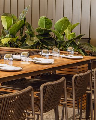Terrasse Nelligan by null