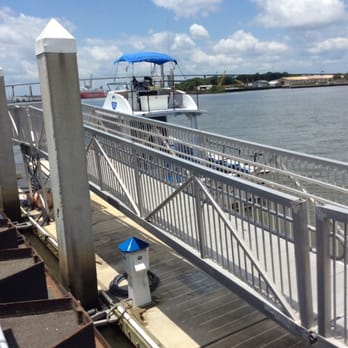 Dolphin Magic Tours - Tours Near Me - Savannah, Georgia