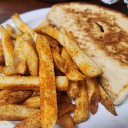 Everything Under the Bun - Gyro and fries