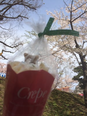 Hakodate Park by null