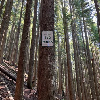 BCMC Grouse Trail - Hiking Near Me - North Vancouver, British Columbia
