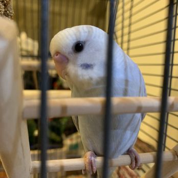 Petco - Pet Stores Near Me - Ewa, Hawaii
