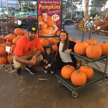 Armstrong Garden Centers - Nurseries & Gardening Near Me - Long Beach, California Armstrong Garden Centers - Nurseries & Gardening Near Me - Long Beach, California