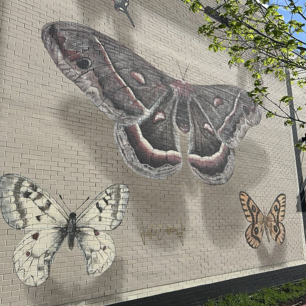 Indy Butterflies - Public Art Near Me - Indianapolis, Indiana Indy Butterflies - Public Art Near Me - Indianapolis, Indiana