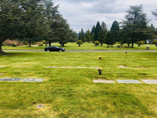 ACACIA MEMORIAL PARK & FUNERAL HOME - 67 Photos & 14 Reviews - 14951