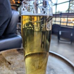 Larchmont Lager