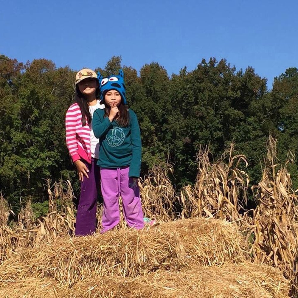 Hickory Ridge Farm - Farmers Market Near Me - Chesapeake, Virginia