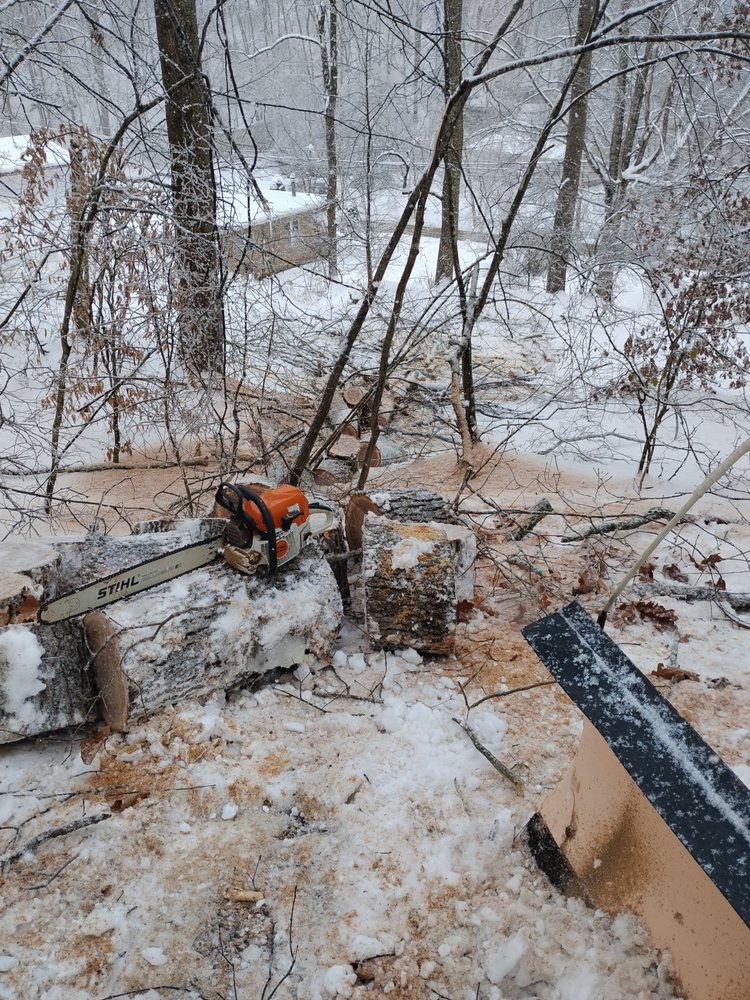 Gravely,s Tree and Lawn services - tree service in Alum Creek, WV