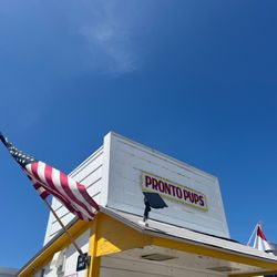 Pronto Pups