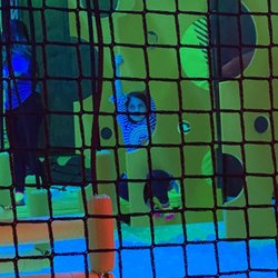 Urban Air Trampoline and Adventure Park