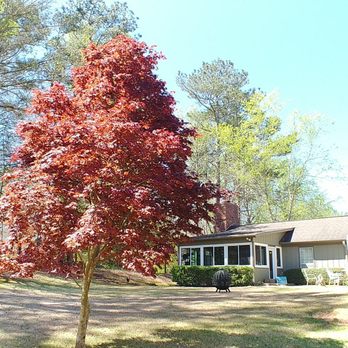 Wilson’s Lawn Care Service - Backyard - Lawn Services Near Me - LaGrange, Georgia Wilson’s Lawn Care Service - Backyard - Lawn Services Near Me - LaGrange, Georgia