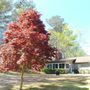 Photo of Wilson’s Lawn Care Service