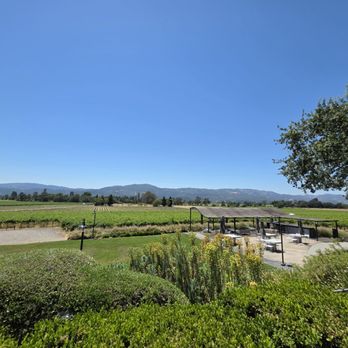 Mumm Napa - Wine Tasting Room Near Me - Rutherford, California