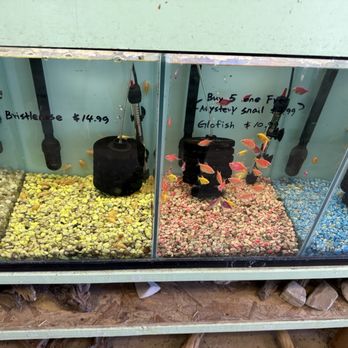 Wow Fish & Pets - Pet Groomers Near Me - Hesperia, California Wow Fish & Pets - Pet Groomers Near Me - Hesperia, California