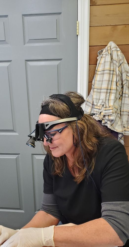 ELECTROLYSIS BY JOANN Updated October 2024 1205 Professional Mall