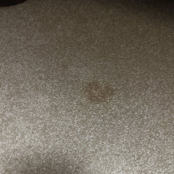 ProSteam Restoration - Carpet Cleaning Near Me ProSteam Restoration - Carpet Cleaning Near Me