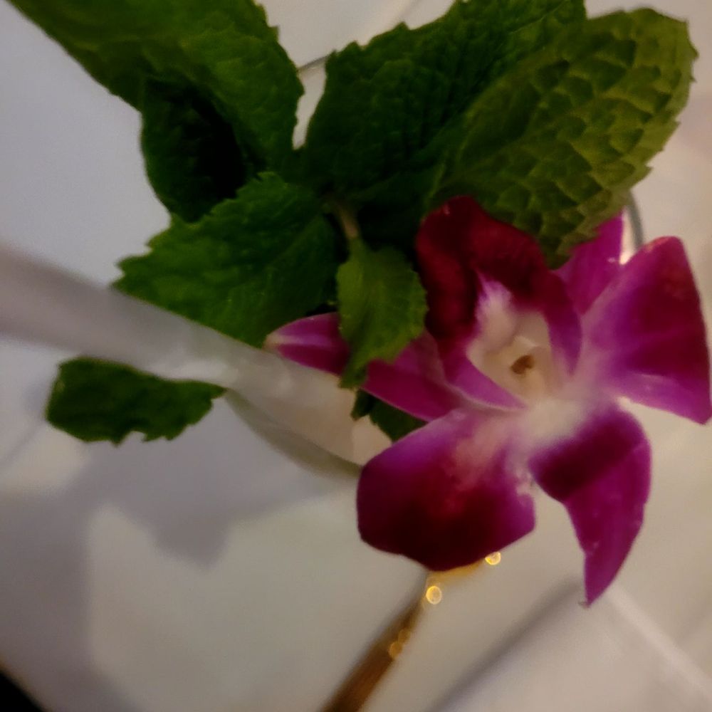 Bratts Hill by Chef Darian - Caribbean Near Me - Buffalo, New York