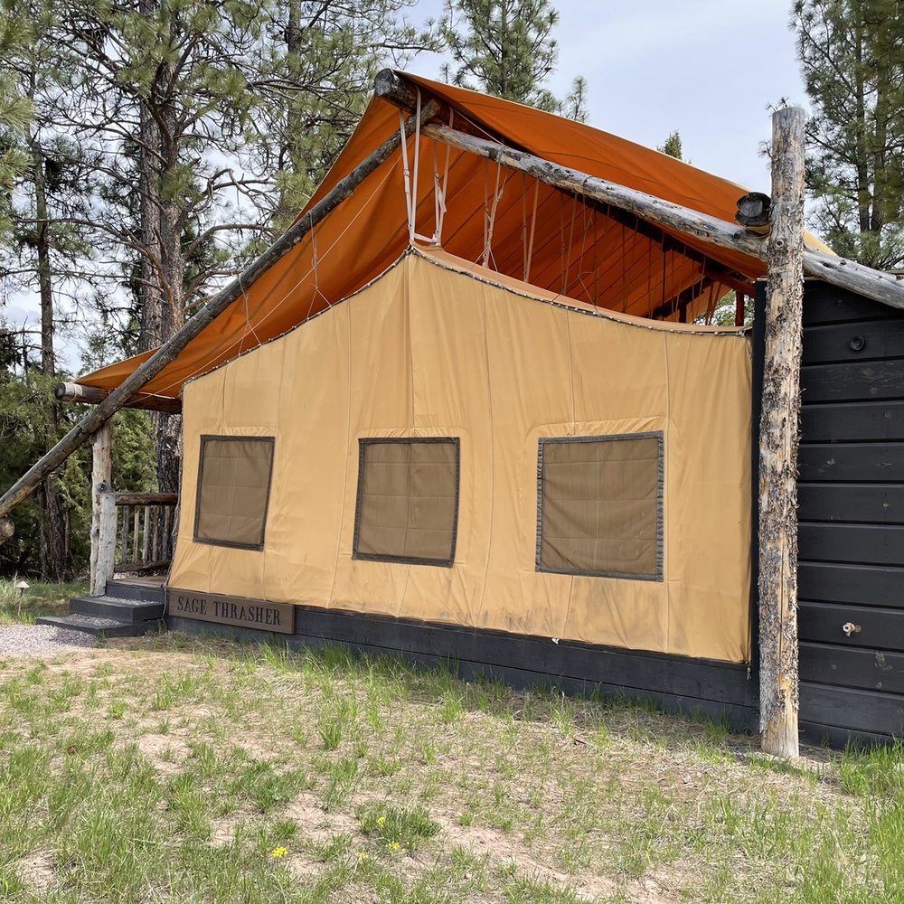 Paws Up Ranch - Resorts Near Me - Greenough, Montana