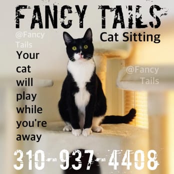 Fancy Tails - Another Fancy Tails ad featuring Parker the tuxedo cat. - Dog Walkers Near Me - Hermosa Beach, California Fancy Tails - Another Fancy Tails ad featuring Parker the tuxedo cat. - Dog Walkers Near Me - Hermosa Beach, California