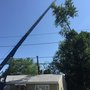 A Perfect Cut Tree Service