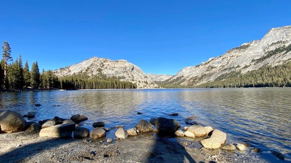 Tenaya Lake by null