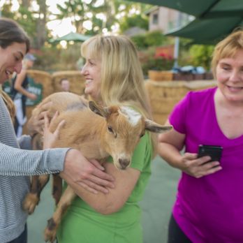 Sugar Sweet Farm - Attraction Farms Near Me