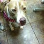 Photo of Animal Medical Clinic 2