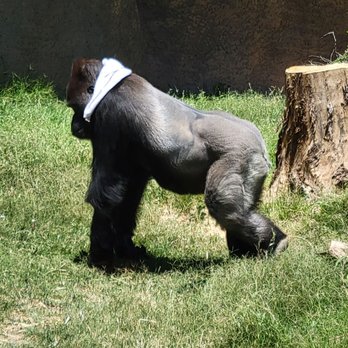 ABQ BioPark Zoo - Zoos Near Me - Albuquerque, New Mexico