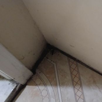Delz Bed & Breakfast - Unswept floors, grout and dirt between corners - Bed & Breakfast Near Me - Brooklyn, New York Delz Bed & Breakfast - Unswept floors, grout and dirt between corners - Bed & Breakfast Near Me - Brooklyn, New York
