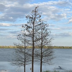 Lake Baldwin Running Trail