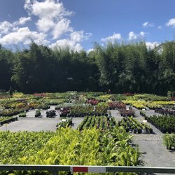 Vivero Plantas de Caparra