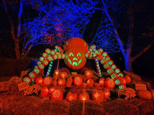 Kentucky Kingdom Theme & Water Park by null