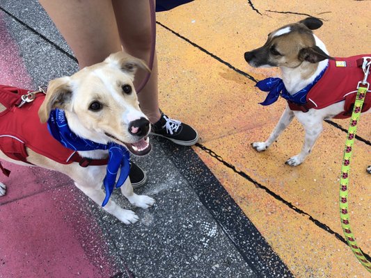 Huizenga Park by null