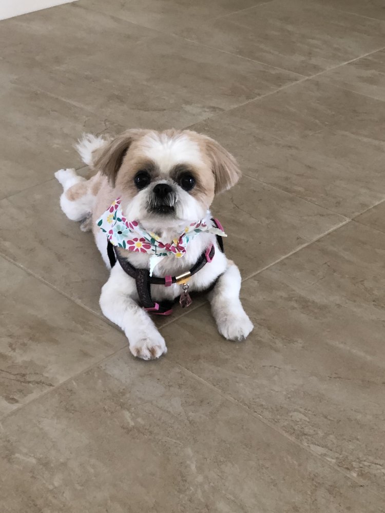 THE CLIP JOINT Updated September 2024 13 Photos & 14 Reviews 2651