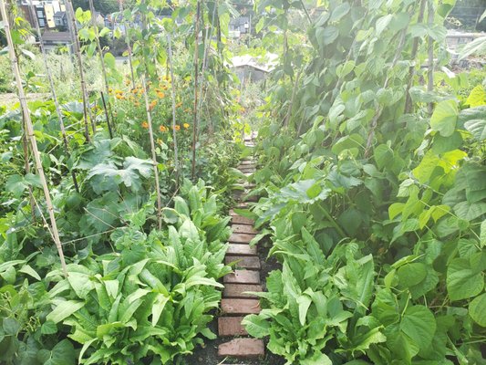 Beacon Food Forest by null