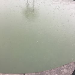S & S Pools