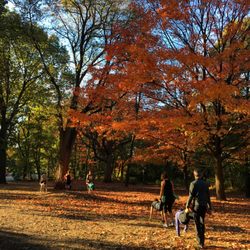 Bodiesynergy - Prospect Park