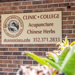 Dragon Rises College of Oriental Medicine