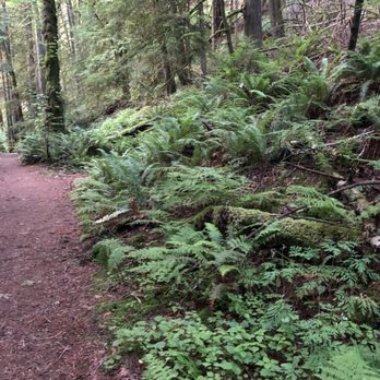 Lake Padden Park - Golf Near Me - Bellingham, Washington Lake Padden Park - Golf Near Me - Bellingham, Washington