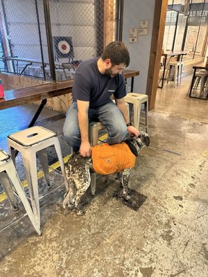 Forged Axe Throwing by null