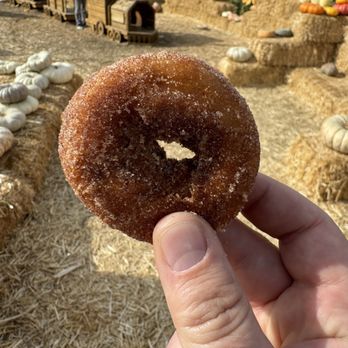 Bishop's Pumpkin Farm - Christmas Trees Near Me - Wheatland, California
