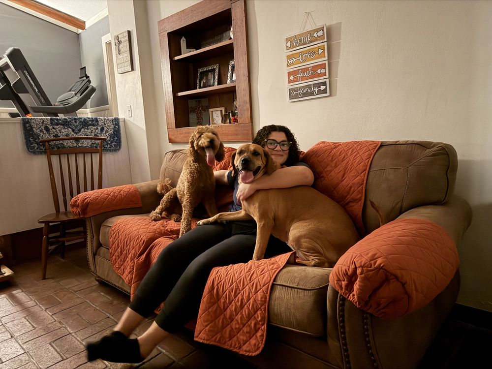 Happy Cabin Kennels Pet Hotel and Spa