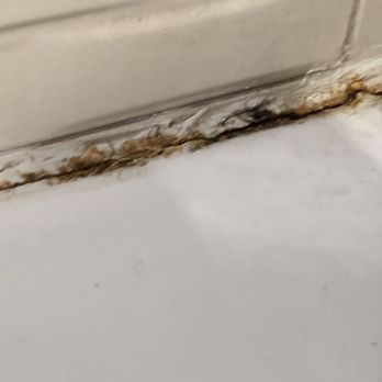Fellini Gelato & Caffe - This needs to be re caulked. Gross. - Coffee & Tea Near Me - Houston, Texas Fellini Gelato & Caffe - This needs to be re caulked. Gross. - Coffee & Tea Near Me - Houston, Texas